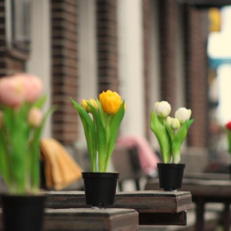 Herberg De Wildeman Lemmer Dış mekan fotoğraf